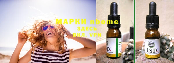 гашик Кулебаки