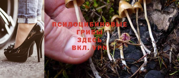 MDMA Premium VHQ Краснослободск