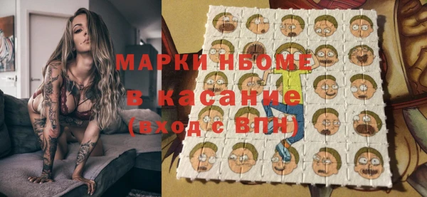 гашик Кулебаки