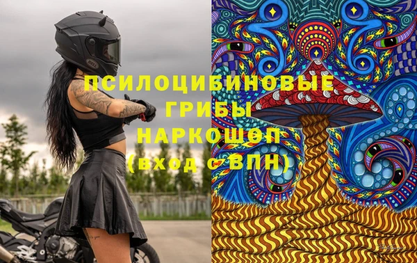 гашик Кулебаки